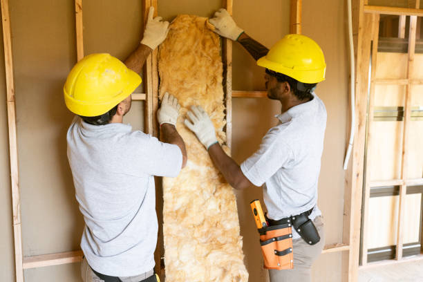 Best Attic Insulation Installation  in Boise, ID