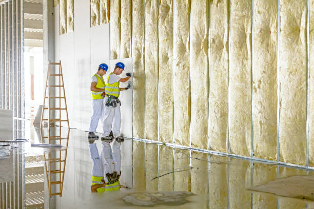 Professional Insulation Contractor in Boise, ID